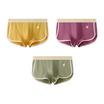 Men's Briefs with U-Shaped Pouch Support and Breathable Mesh – 3-Pack Ultra-Soft Cotton Underwear 2